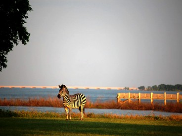Idyllic Accommodation for a Lake Getaway in Quinlan, Texas - Quinlan, Texas - glamping.directory