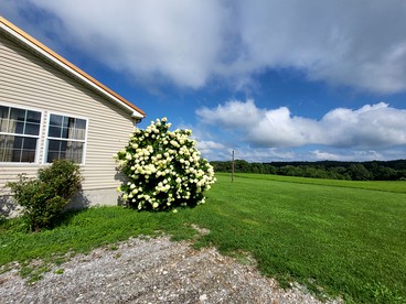 Escape Together: Unforgettable Group Retreat in a Beautiful Shawnee National Forest Cottage - Karbers Ridge, Illinois - glamping.directory