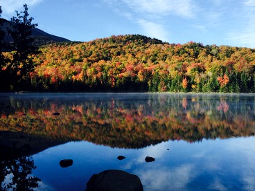 Rustic Cabin Retreat Nestled in the Forest near Lake Placid, New York - Lake Placid, New York - glamping.directory