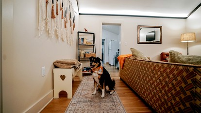 Cozy Rustic Cabin Nestled in the Scenic Reems Creek Valley for a Peaceful Mountain Escape Surrounded by Nature near the Pisgah National Forest in NC - Weaverville, North Carolina - glamping.directory