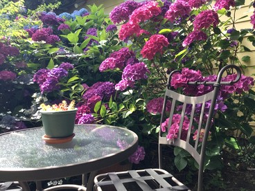 Elegant Waterfront Cottage on Whidbey Island in Langley, Washington - Langley, Washington - glamping.directory