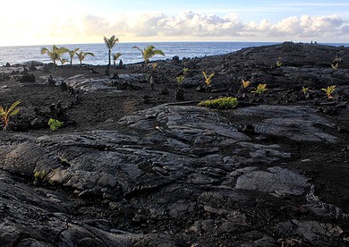 Oceanfront Getaway with Private Beach Access in Pahoa, Hawaii - Pahoa, Hawaii - glamping.directory