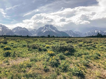 Glacier Tiny House in Irwin, ID - Irwin, Idaho - glamping.directory