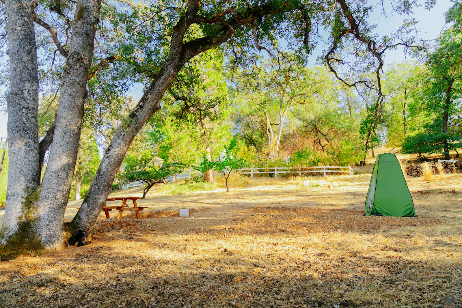 Hidden Pearl Pasture - Placerville, California - glamping.directory