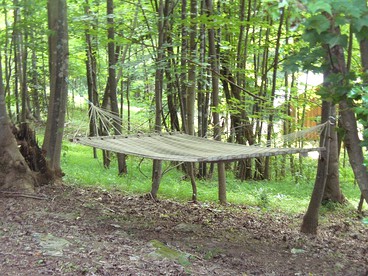 Tented Cabin Rental Along Brushy Mountains in Moravian Falls, North Carolina - Moravian Falls, North Carolina - glamping.directory
