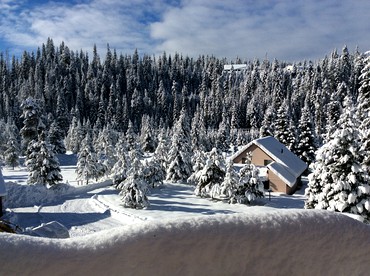 Secluded Cabin Rental with a Covered Back Deck in Elk City, Idaho - glamping.directory