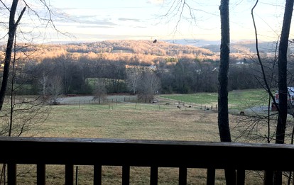 Furry Friends and Fields: Pet-Friendly Cabin with Unique Views in Sparta, TN - Sparta, Tennessee - glamping.directory
