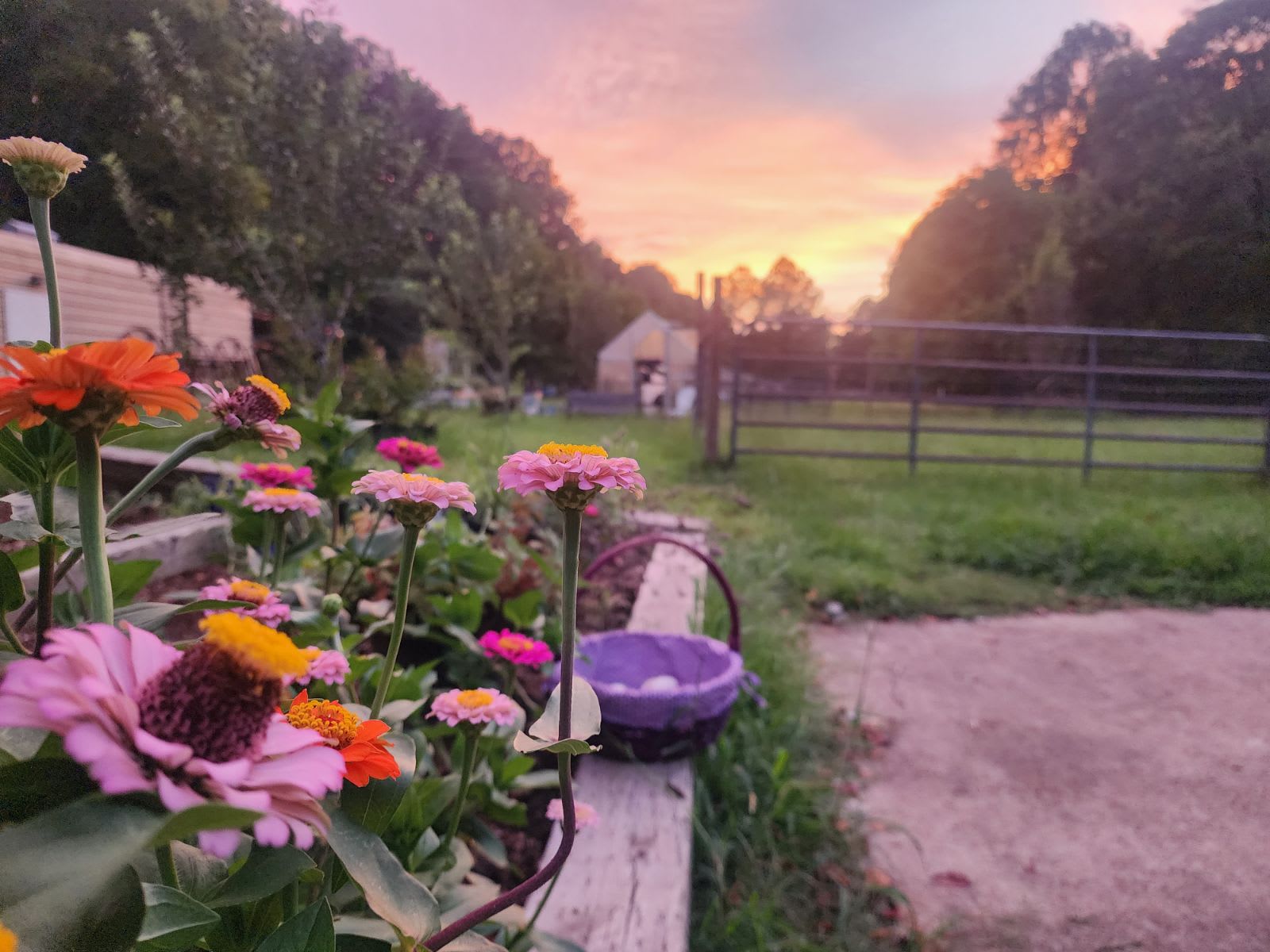 Sunset Hill Farm - glamping.directory