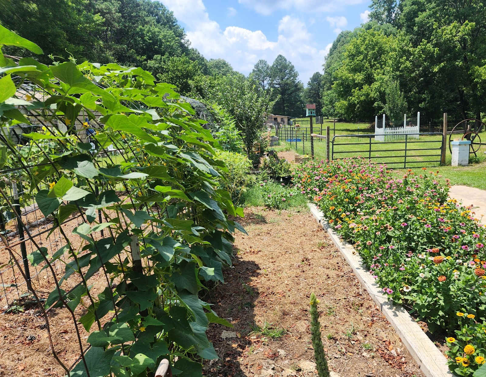 Sunset Hill Farm - Parrish, Alabama - glamping.directory