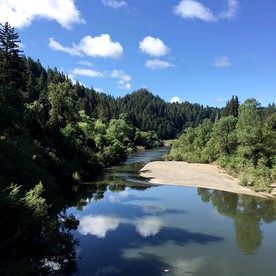 Guerneville Glamping near the Rusian River for a Family and Pet Friendly Getaway - Guerneville, California - glamping.directory