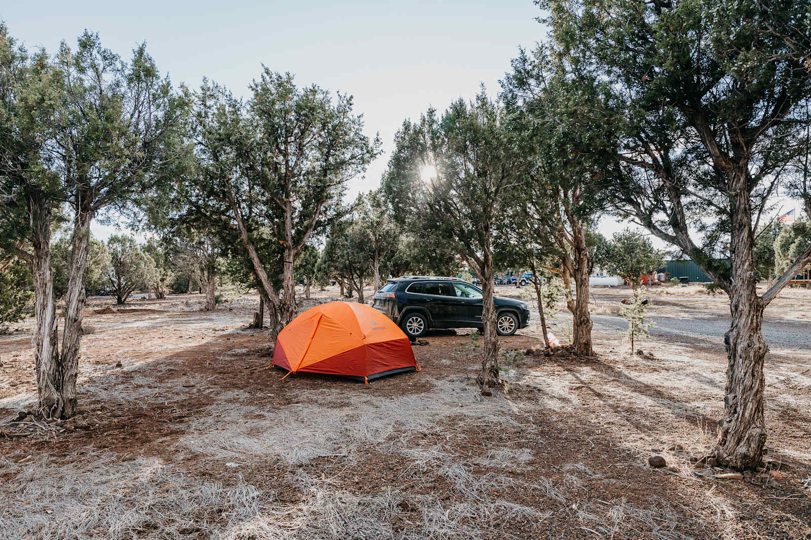Show Low AZ GreatSky CampRanch - Show Low, Arizona - glamping.directory