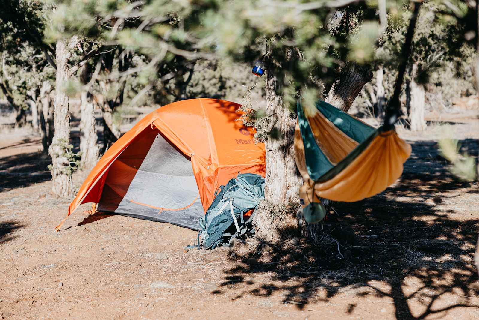 Show Low AZ GreatSky CampRanch - Show Low, Arizona - glamping.directory