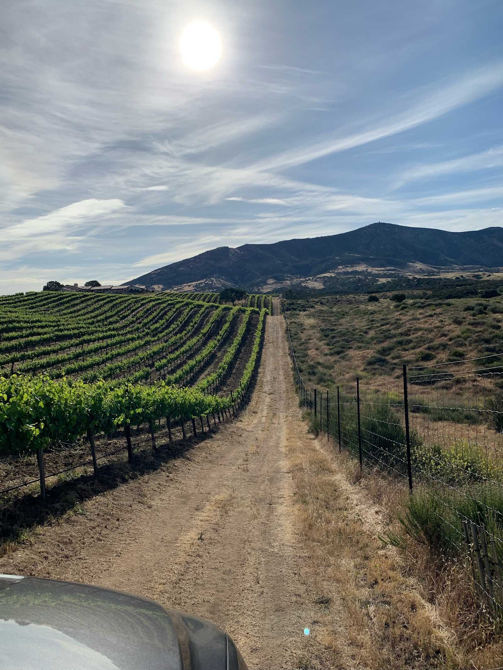 Two miles from Pinnacles Nat. Park - Soledad, California - glamping.directory