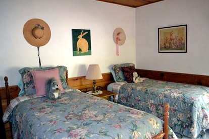 Cozy Cabin with Country Decor near San Jacinto Mountains, California - Idyllwild, California - glamping.directory