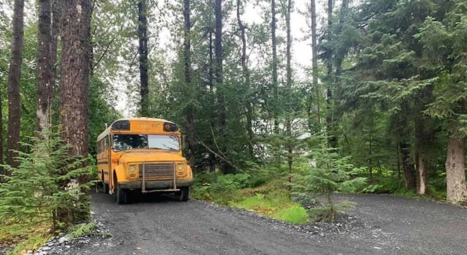 Lost in the Woods - Seward, Alaska - glamping.directory