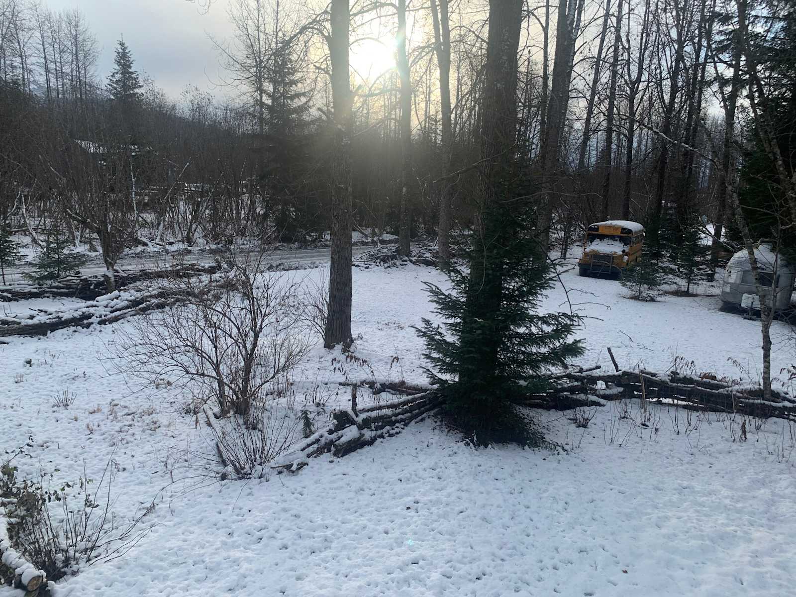 Lost in the Woods - Seward, Alaska - glamping.directory