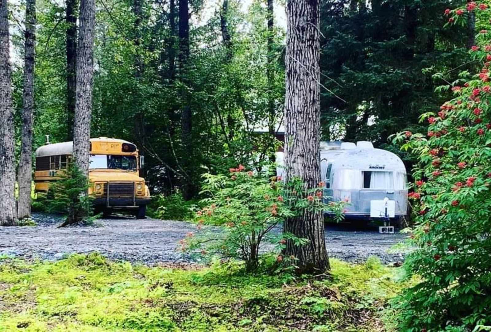 Lost in the Woods - glamping.directory