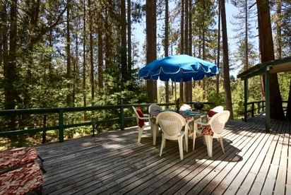Secluded Cabin Surrounded By Pine Trees in Idyllwild, California - Idyllwild, California - glamping.directory