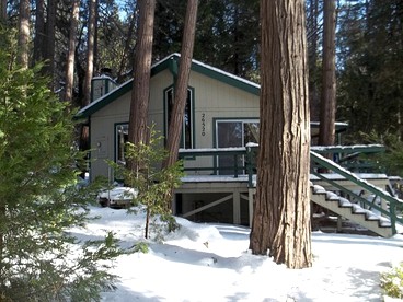 Secluded Cabin Surrounded By Pine Trees in Idyllwild, California - glamping.directory