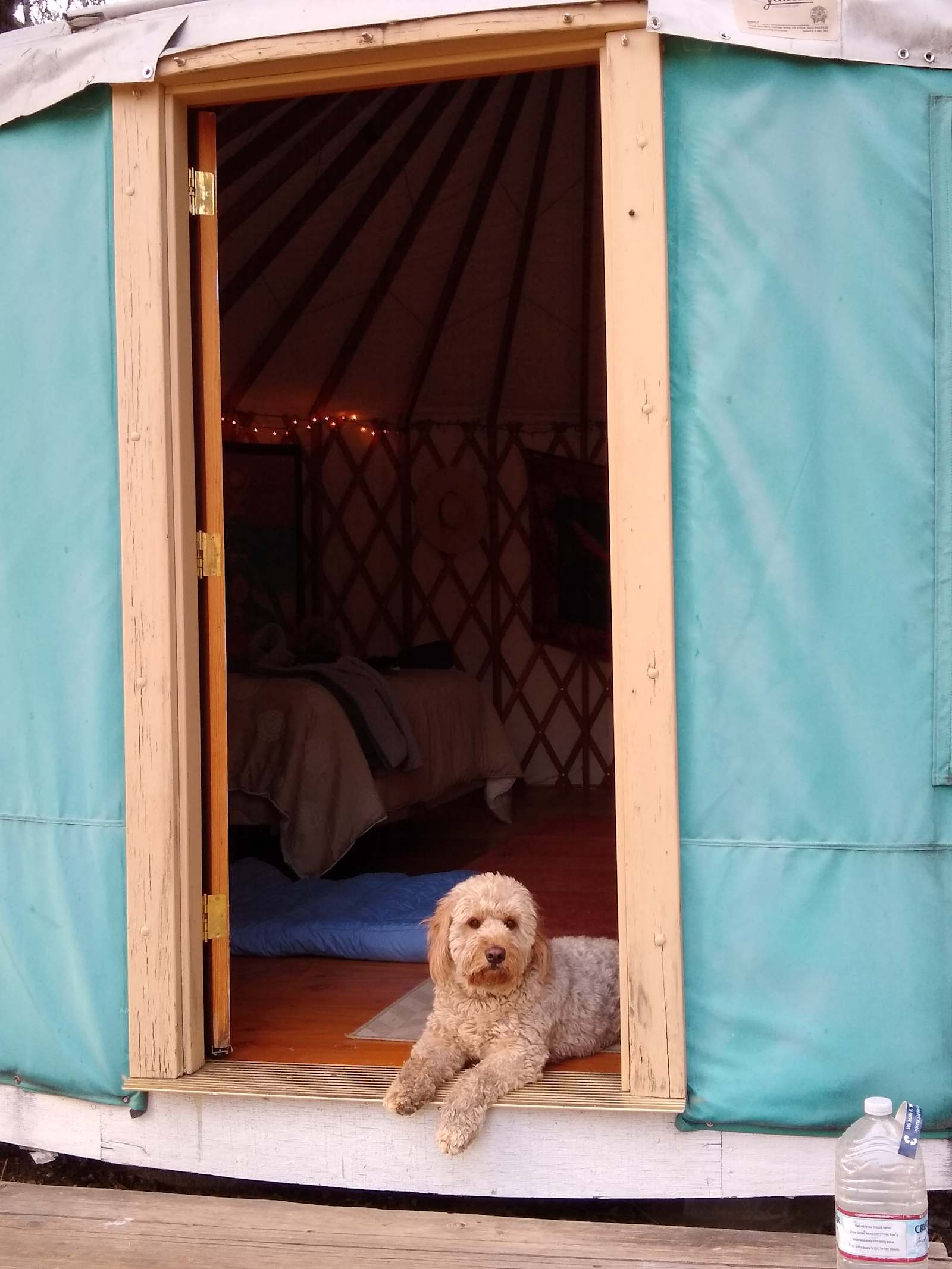 Earth Castle Retreat - Grass Valley, California - glamping.directory