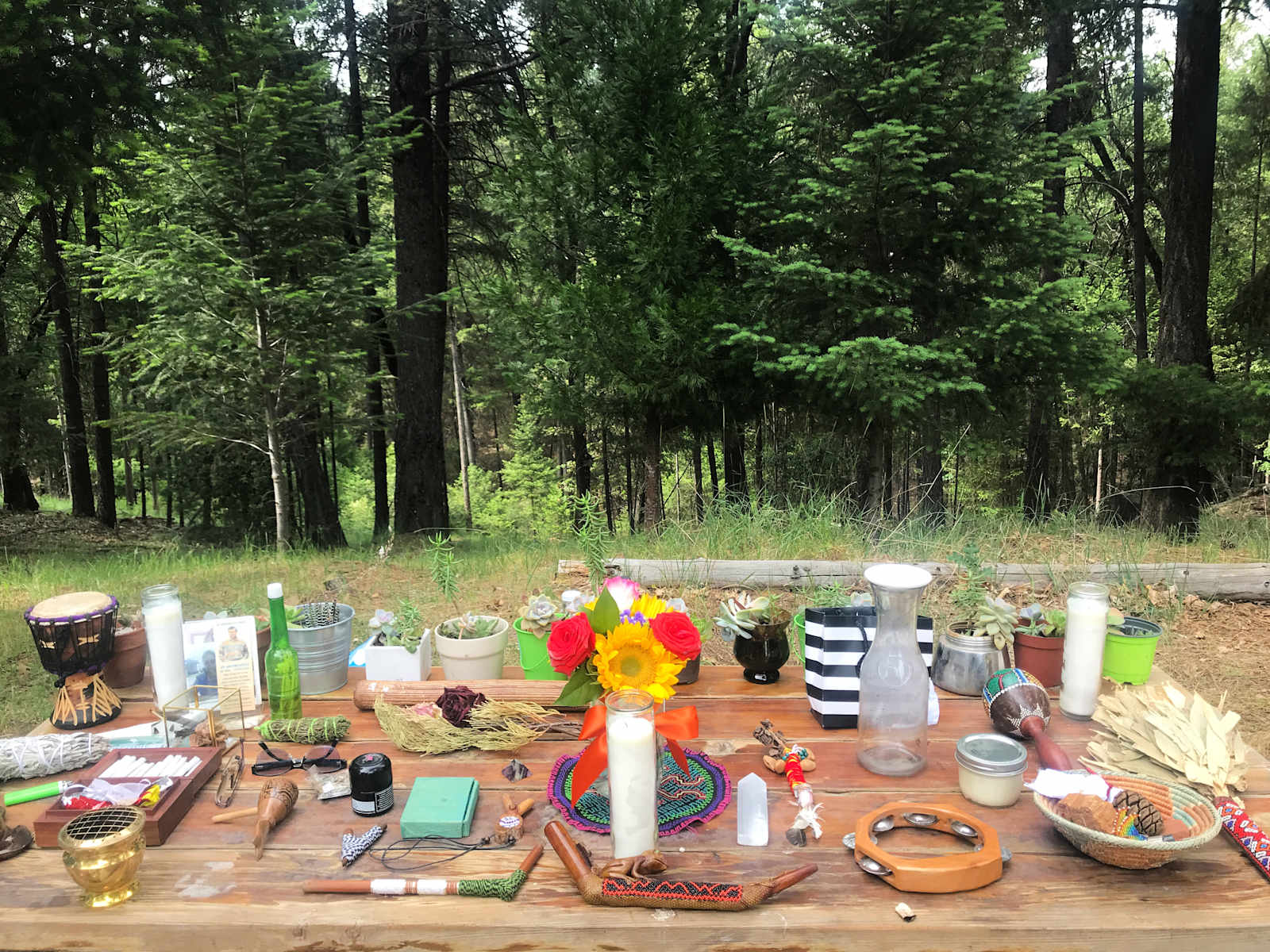 Earth Castle Retreat - Grass Valley, California - glamping.directory