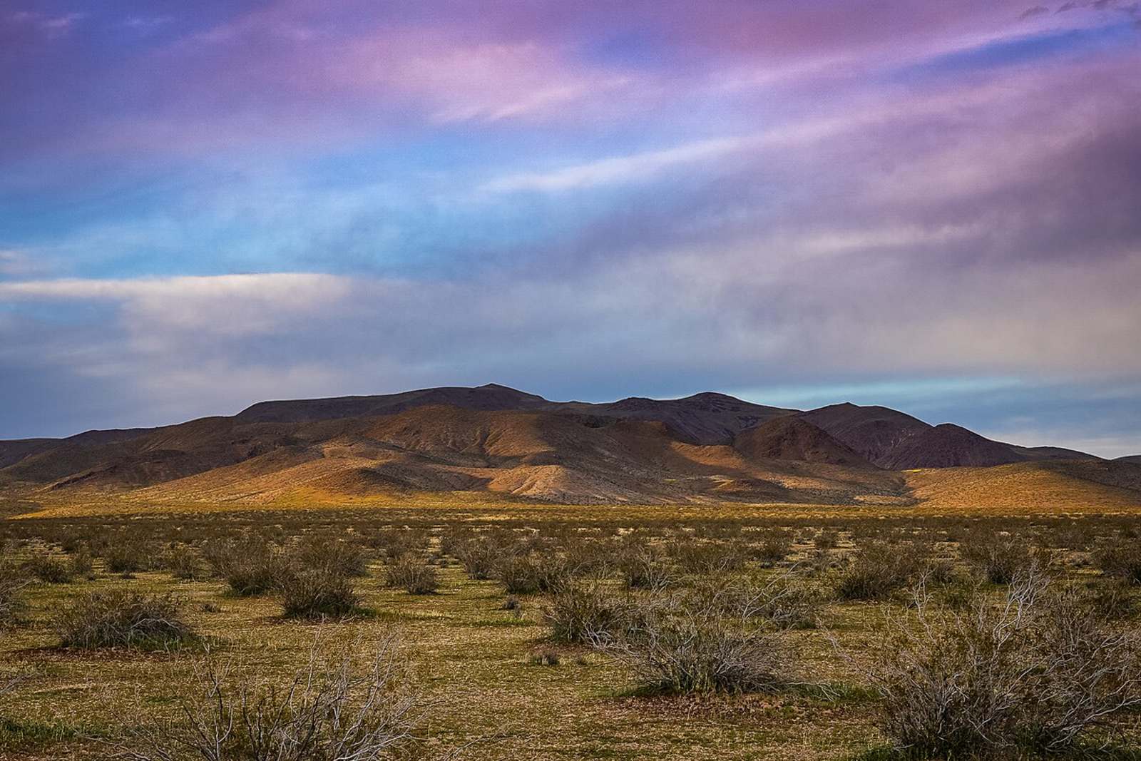 Golden Valley Getaway - glamping.directory