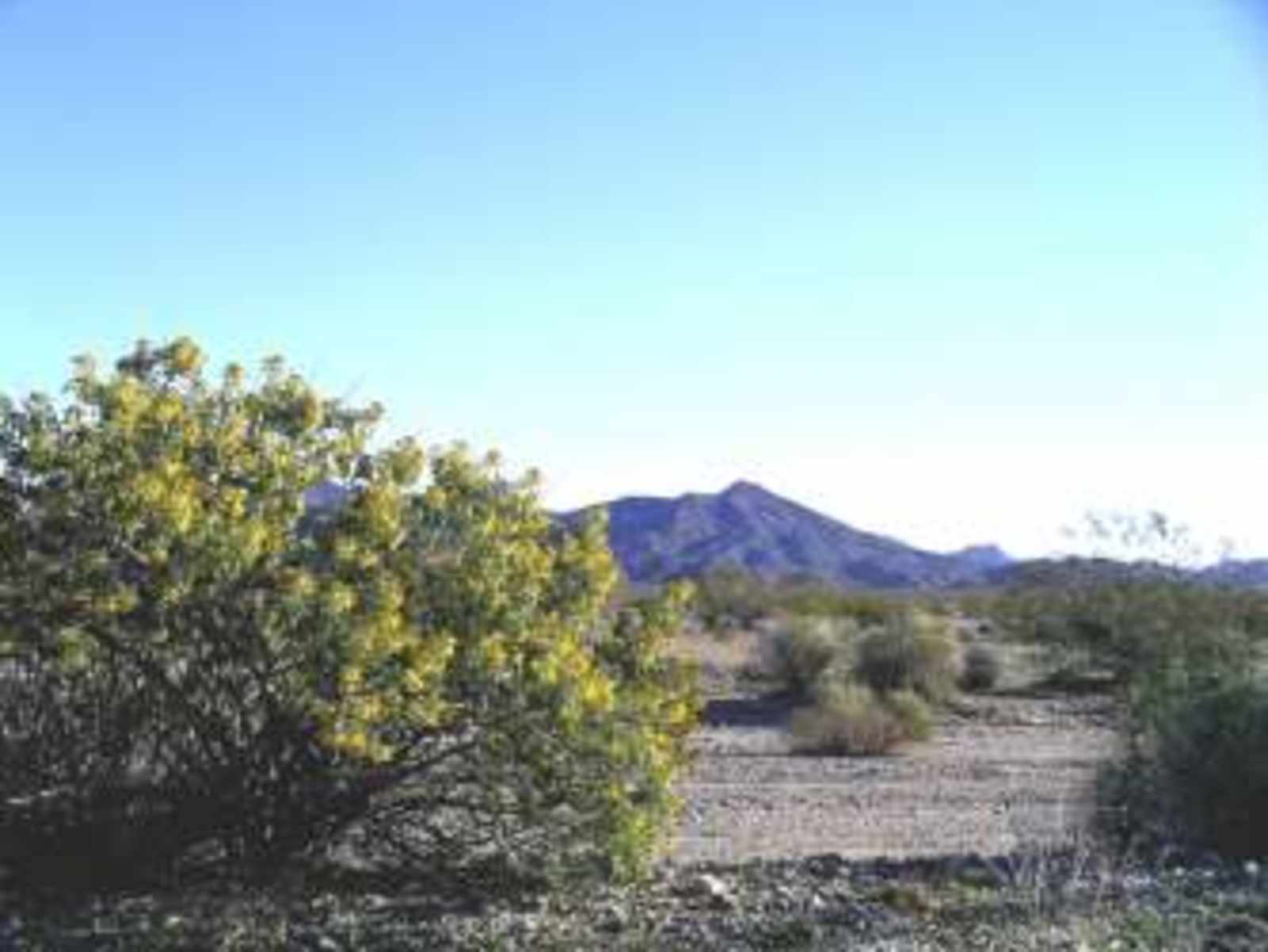 Golden Valley Getaway - Walnut Creek, Arizona - glamping.directory
