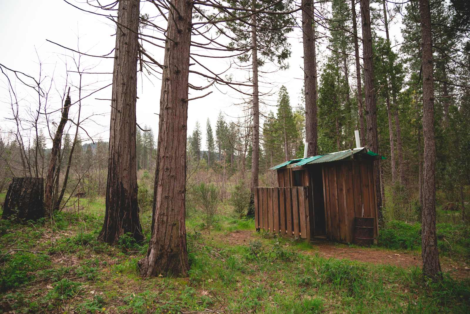 Lake Concow Campground - Oroville, California - glamping.directory