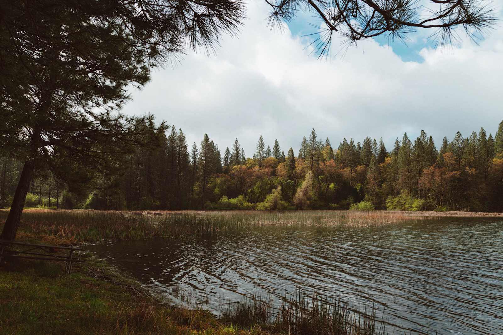 Lake Concow Campground - glamping.directory
