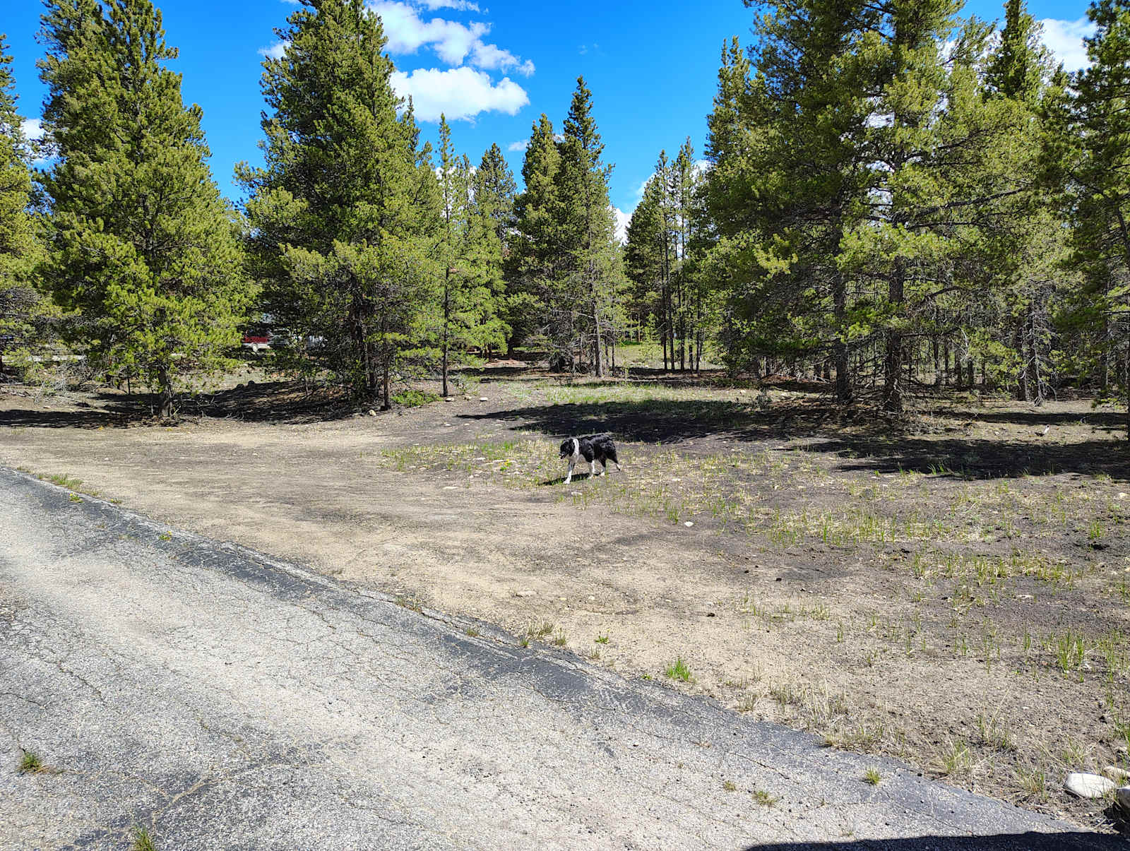 Cloud 11: Secluded & Close to Town - Leadville, Colorado - glamping.directory