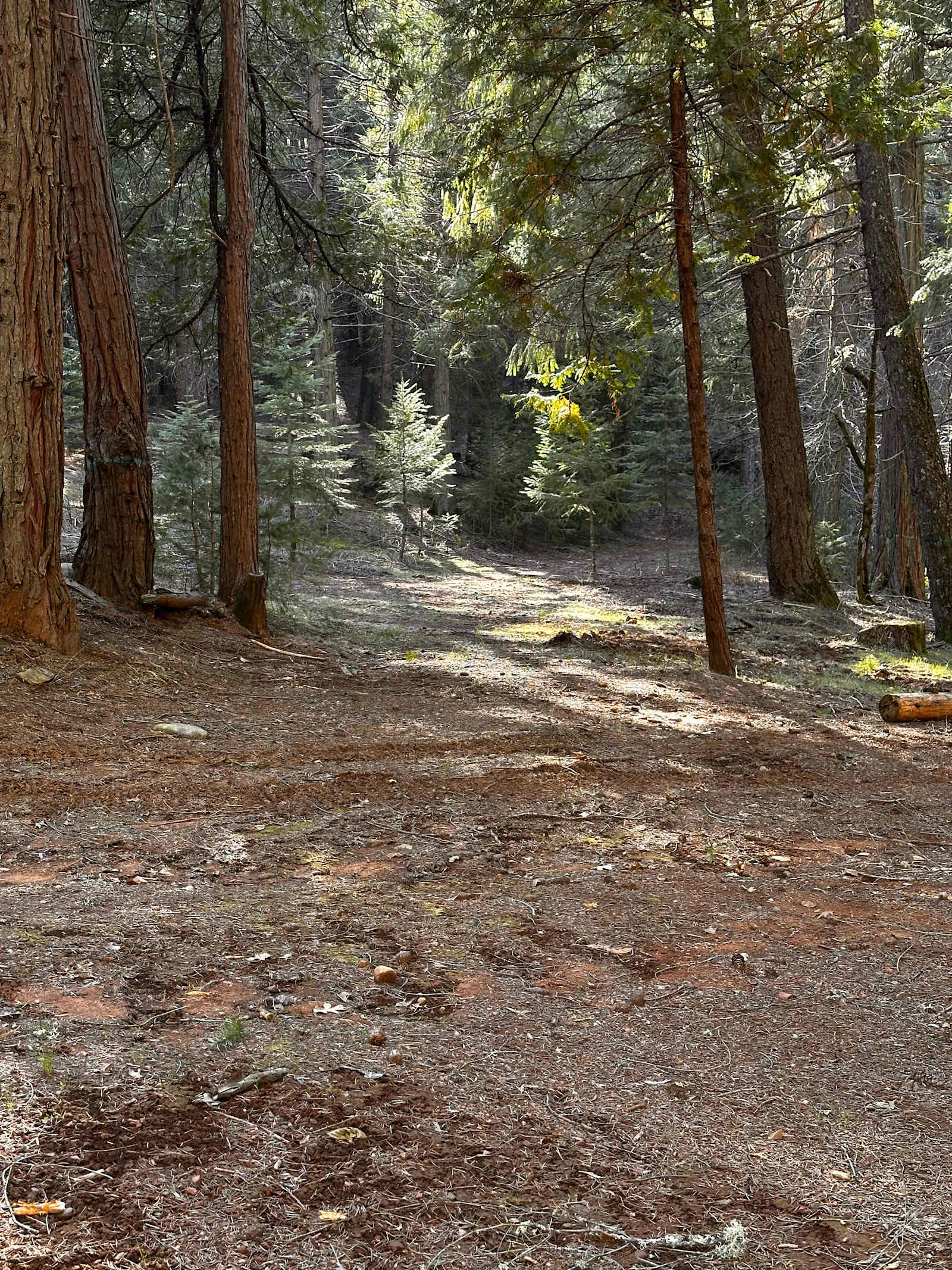 Kantu Outdoor Adventures - Wilseyville, California - glamping.directory