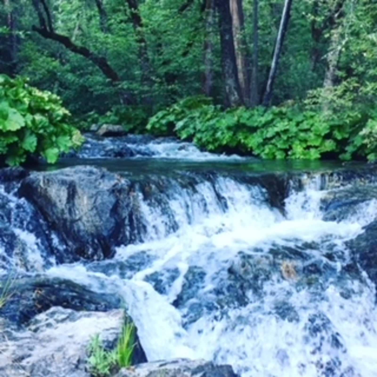 Kantu Outdoor Adventures - Wilseyville, California - glamping.directory