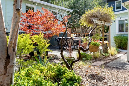 Beautiful Bungalow for Glamping on the Russian River in Guerneville, California - glamping.directory