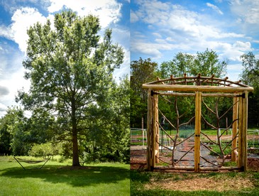 Secluded and Peaceful Cabin Rental in Madison, Virginia - Madison, Virginia - glamping.directory