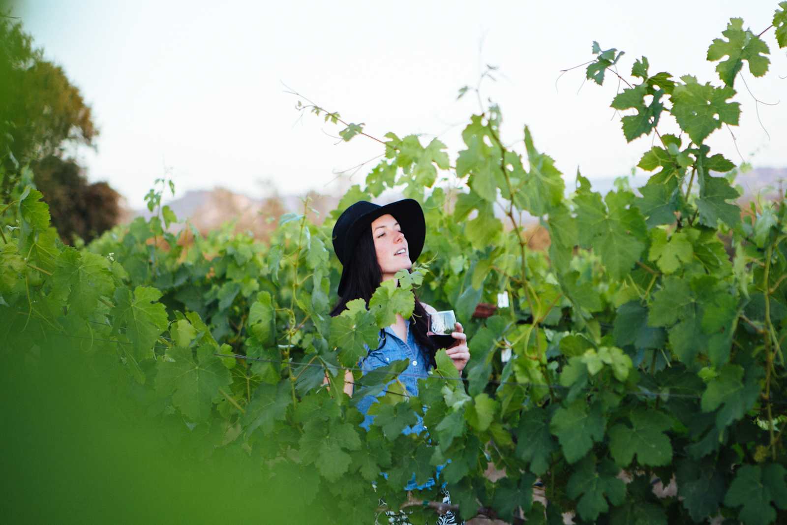 Hickman Family Vineyards - Bangor, California - glamping.directory
