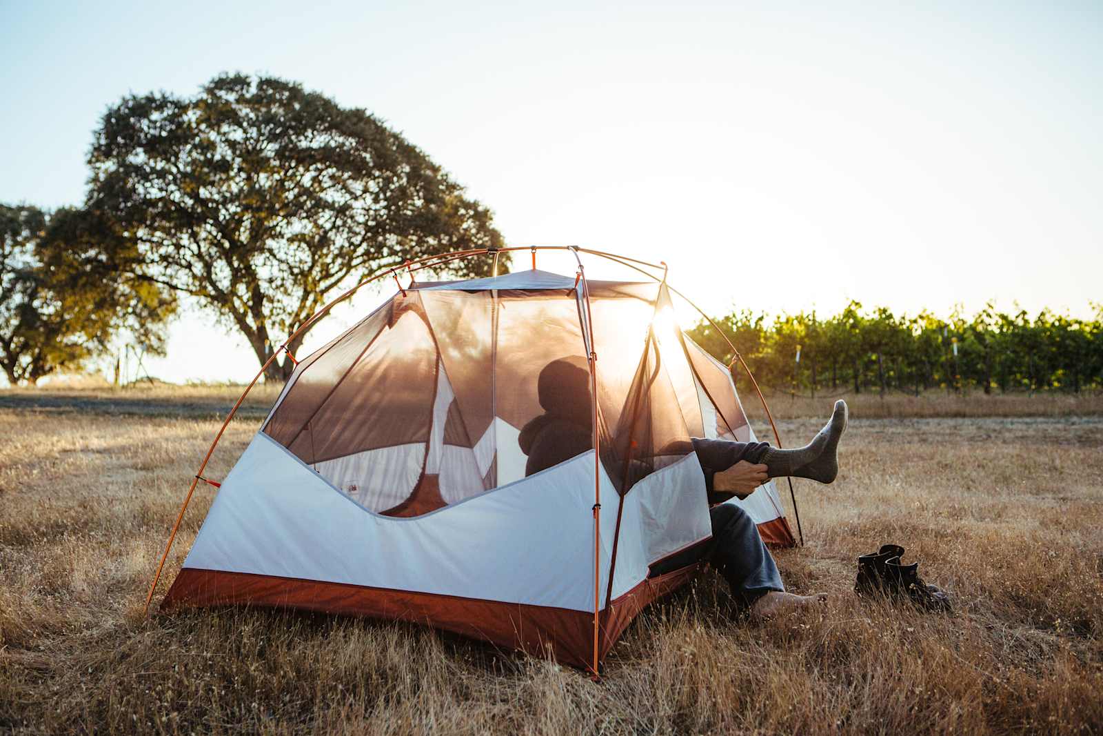 Hickman Family Vineyards - glamping.directory