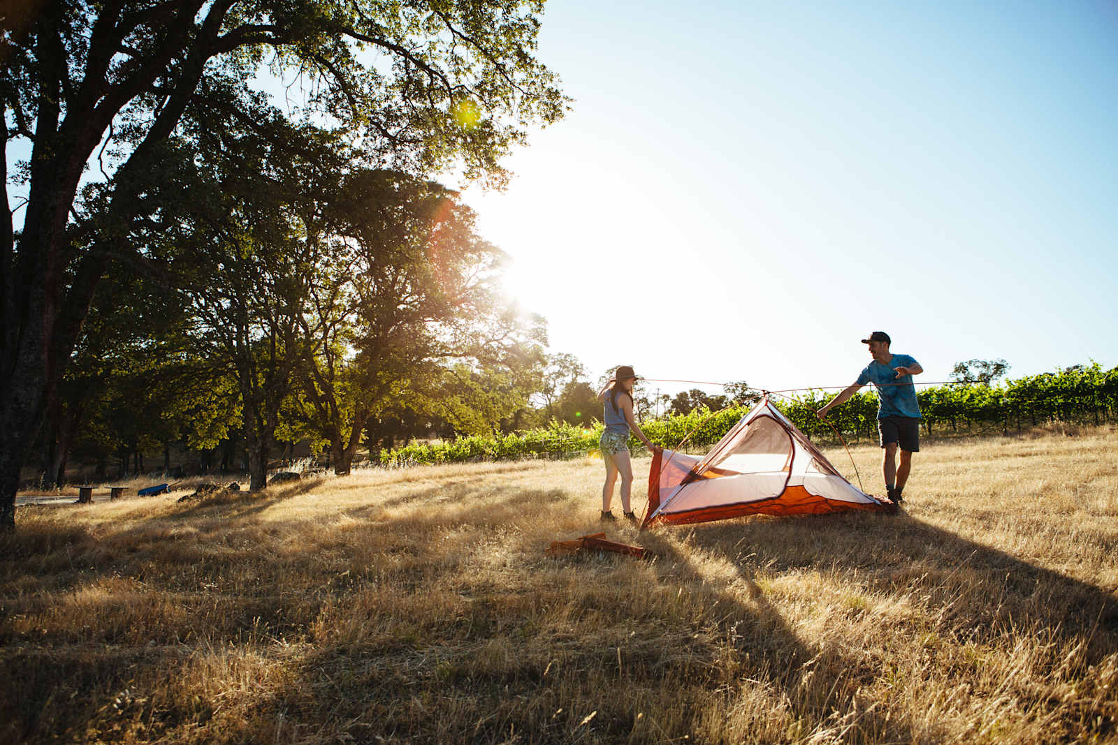 Hickman Family Vineyards - Bangor, California - glamping.directory