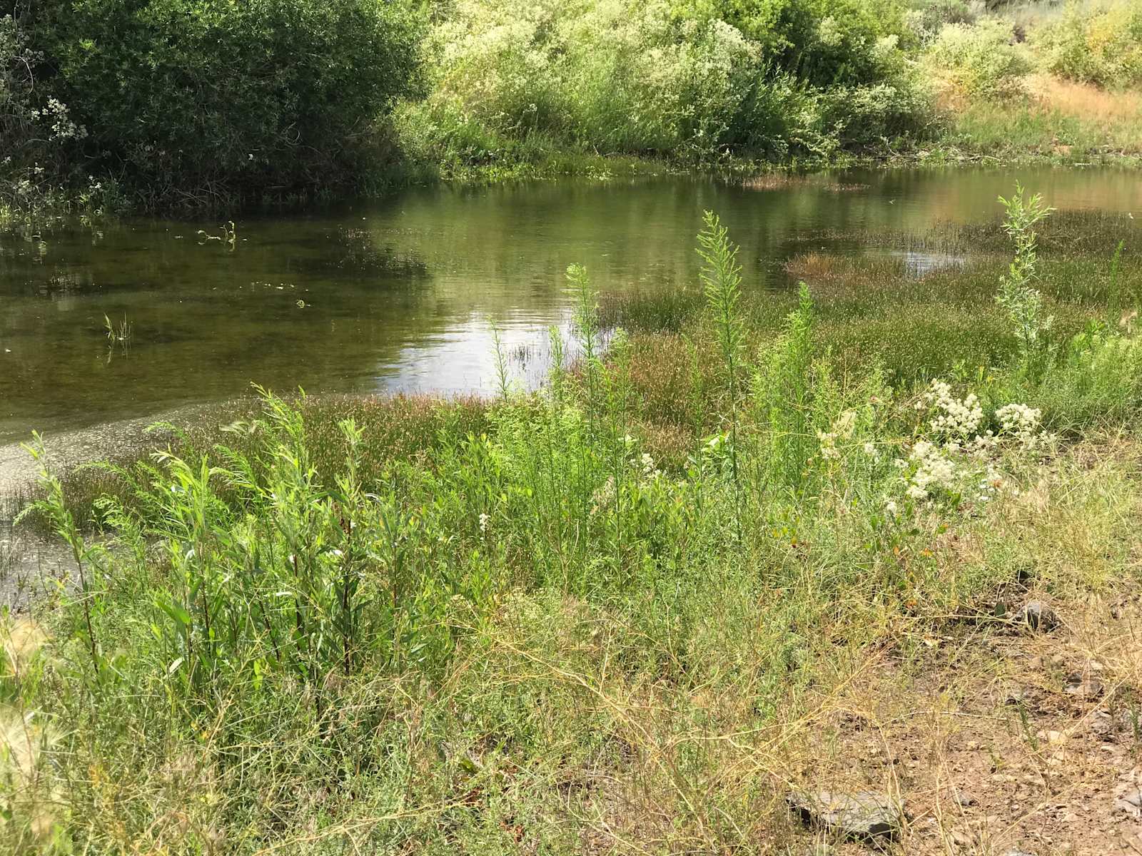 Flyte and Sparrow natural interlude - Reno, California - glamping.directory