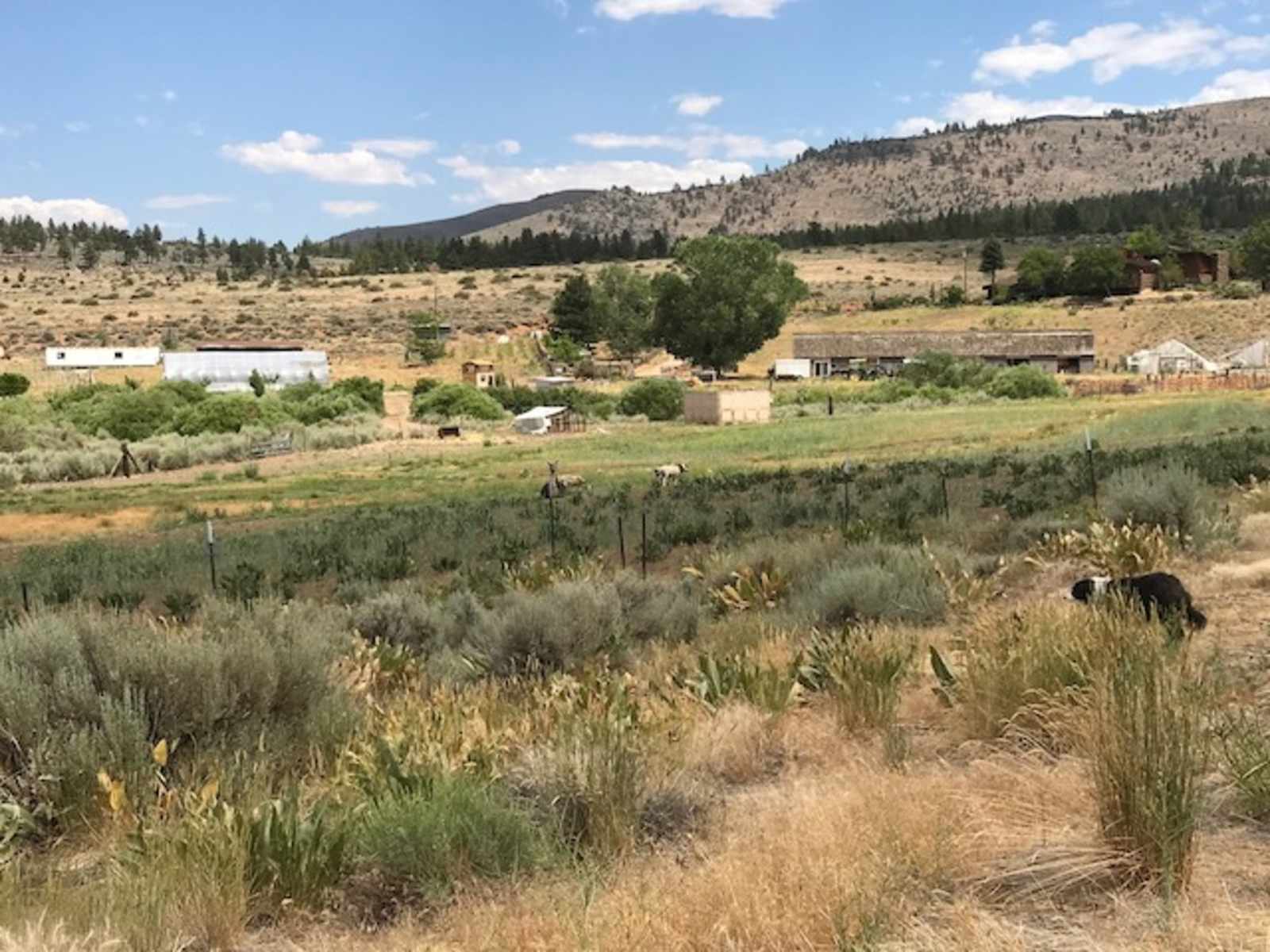 Flyte and Sparrow natural interlude - Reno, California - glamping.directory