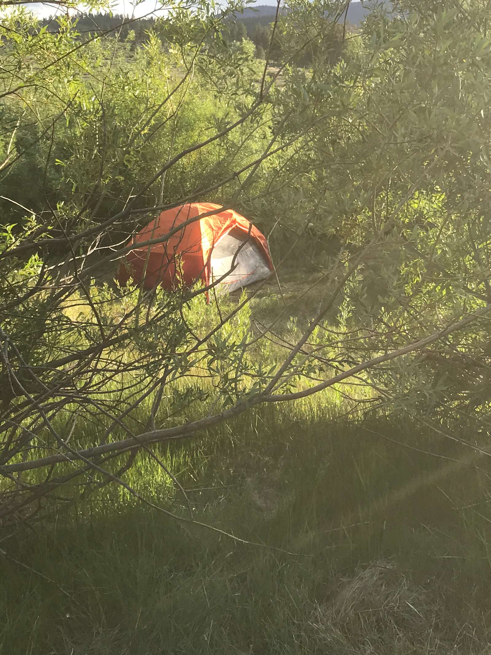 Flyte and Sparrow natural interlude - glamping.directory