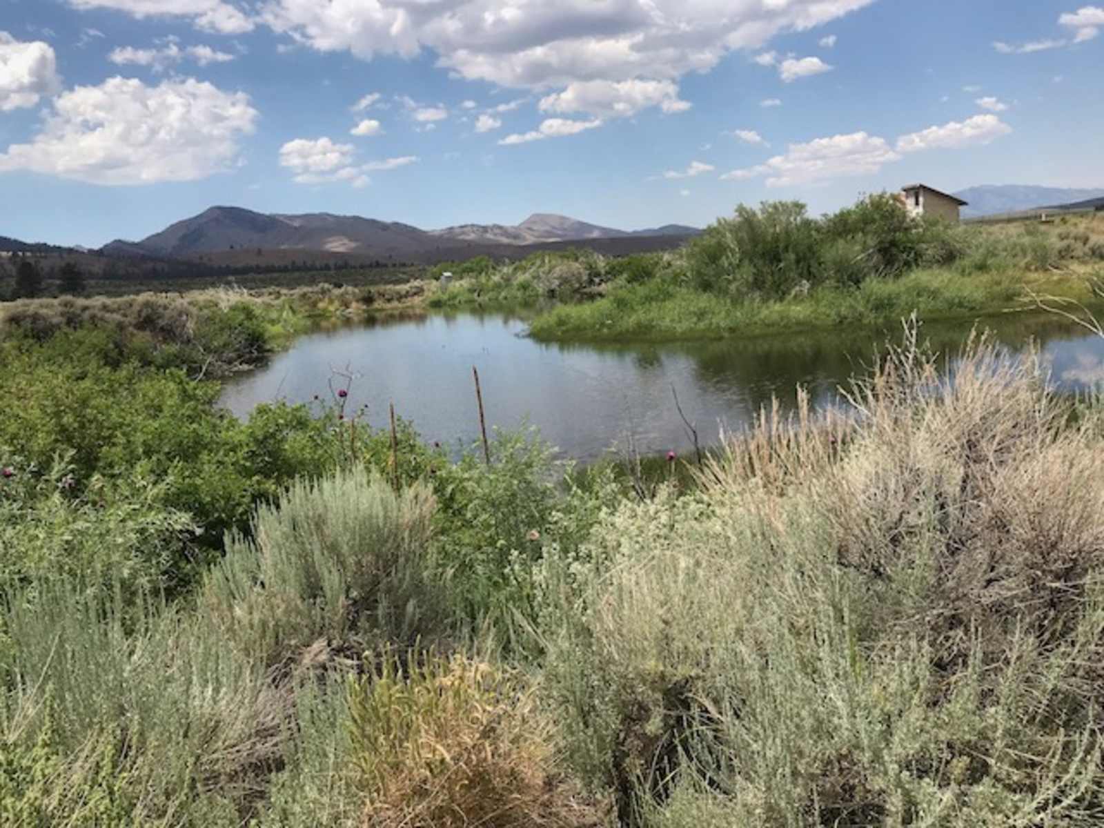 Flyte and Sparrow natural interlude - Reno, California - glamping.directory