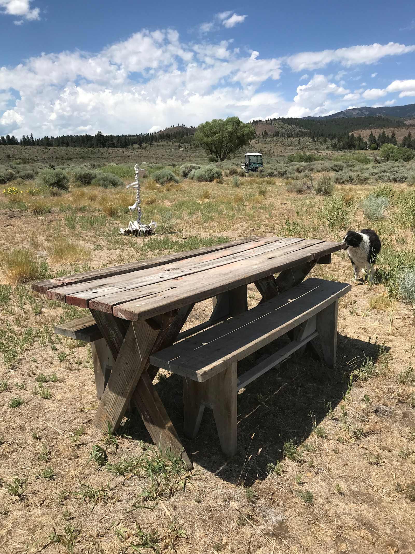 Flyte and Sparrow natural interlude - Reno, California - glamping.directory