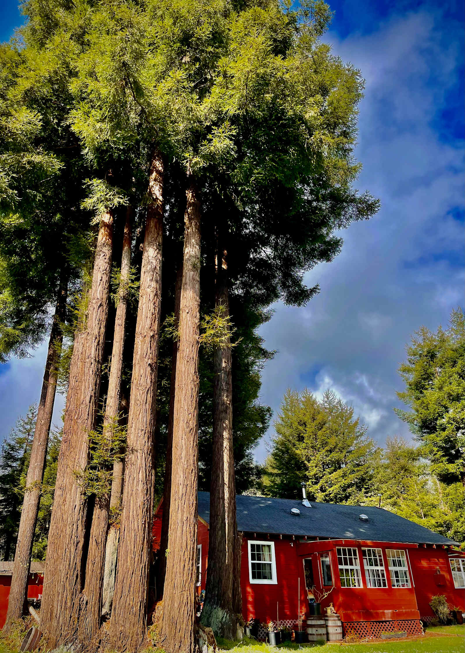 Bueno Mana Homestead - Westhaven Moonstone, California - glamping.directory
