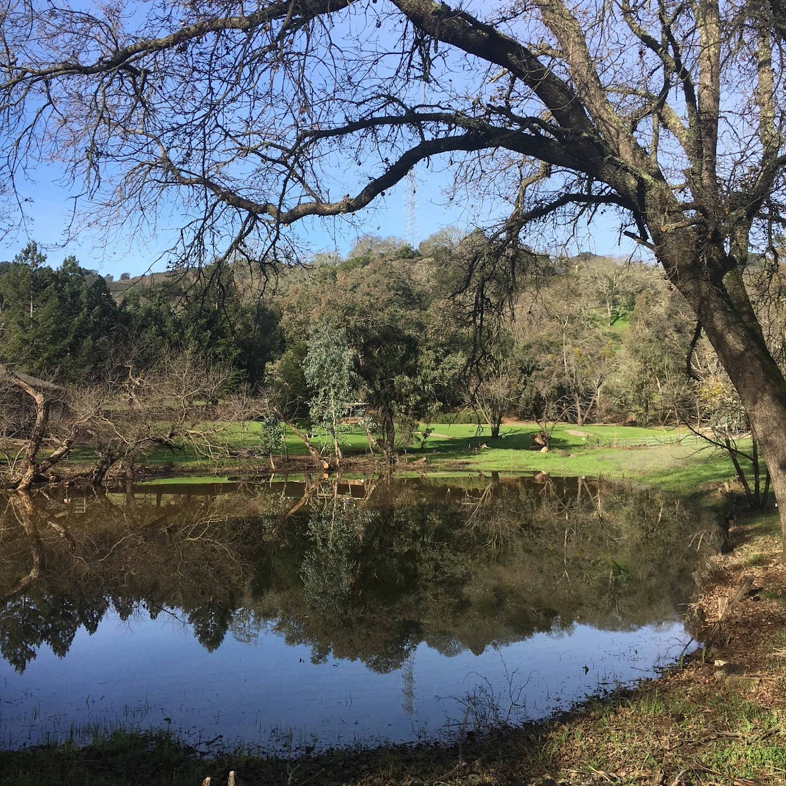 Paradise Valley Cattle Company - Morgan Hill, California - glamping.directory