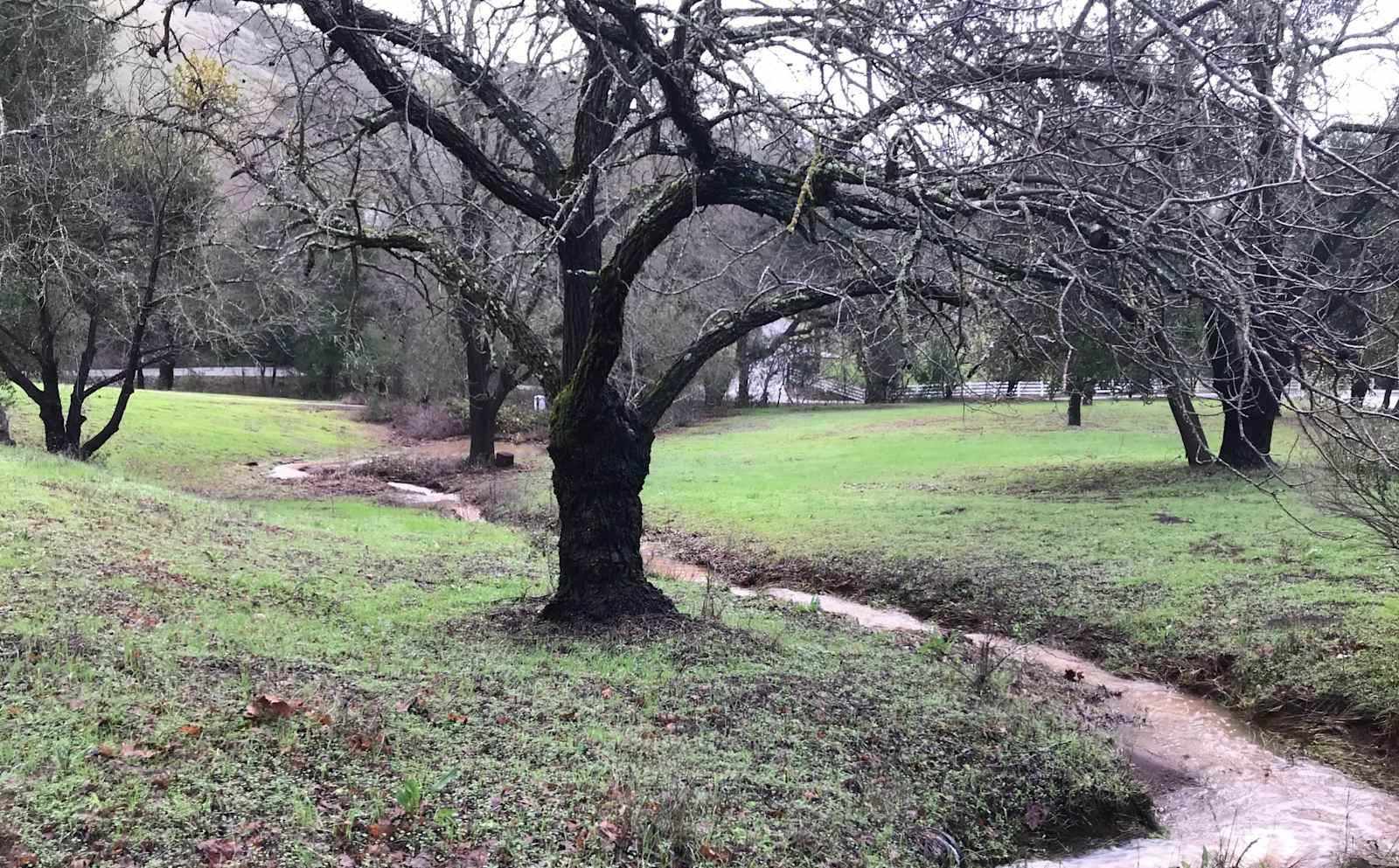 Paradise Valley Cattle Company - Morgan Hill, California - glamping.directory
