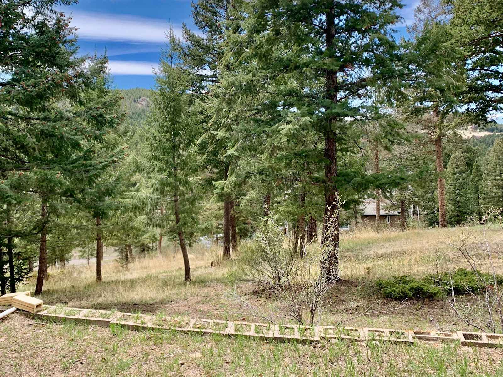 Evergreen Van Life / Zen Garden - glamping.directory