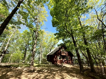 Peaceful Luxury Cabin with Floor-to-Ceiling Glass Views & Historic Gas Log Near Cloudland Canyon, Mentone, Alabama - Mentone, Alabama - glamping.directory