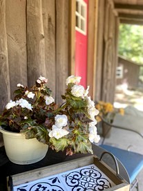 Cozy Cabin with Porch & Live Music Weekend Stay in Voluntown, Connecticut - Voluntown, Connecticut - glamping.directory