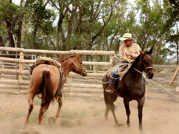 Spacious Cabin on All-Inclusive Ranch in Colorado - Mosca, Colorado - glamping.directory