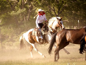 Spacious Cabin on All-Inclusive Ranch in Colorado - Mosca, Colorado - glamping.directory
